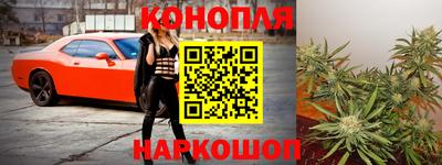 шишки Моздок