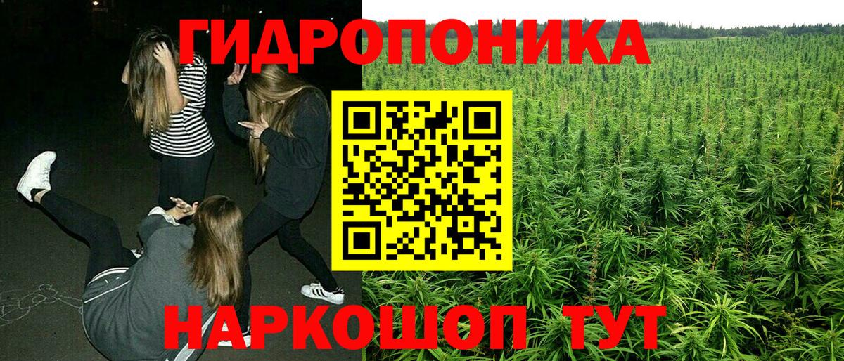 Шишки марихуана тримм  Бошки марихуана Amnesia  Шишки марихуана SATIVA & INDICA  Всеволожск  Вход с VPN 